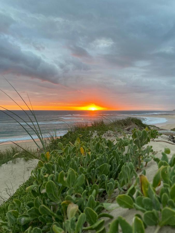 Soutelande Country Stay - Close To 1#Beach In Pe Port Elizabeth Exterior foto
